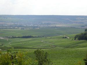 Cormontreuil naar Epernay - champagne uitzicht