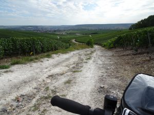 Cormontreuil naar Epernay - pad tussen champagne