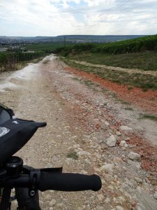 Cormontreuil naar Epernay - pad tussen champagne 2