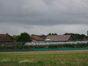 Sezanne naar Mery sur Seine frambozenboerderij