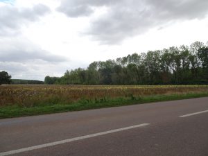 Sezanne naar Mery sur Seine onderweg 3