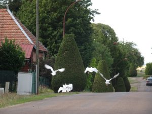 Sommeval naar Flogny-la-chapelle ganzen2