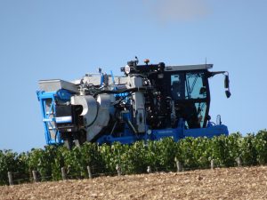 Chablis naar Accolay druivenoogst machinaal 3