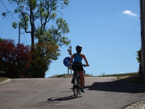 Chablis naar Accolay Fietser 1e keer