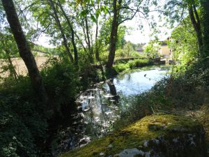 Chablis naar Accolay water