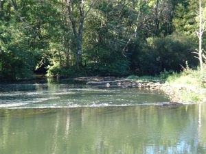 Accolay naar Châtel Censoir rivier langs kanaal