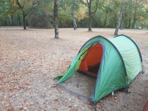 groen tentje op bosrijke camping