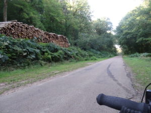 bos en bomen Marigny-l'Eglise naar brassy