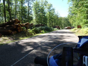 bomen in bos Brassy naar Planchez