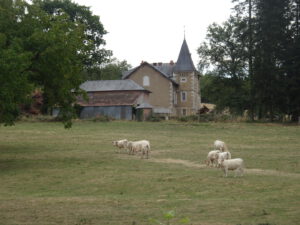 koeien boerderij larochemillau naar Issy l’Éveque