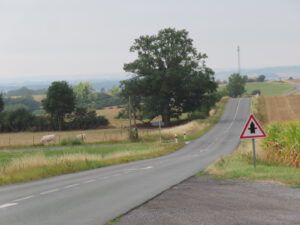 2022 pelgrimstocht heenweg dag 2 landschap weg, koeien heuvels boom